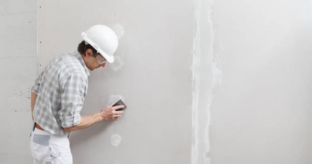 Best Residential Mold Inspection & Testing  in West Lealman, FL