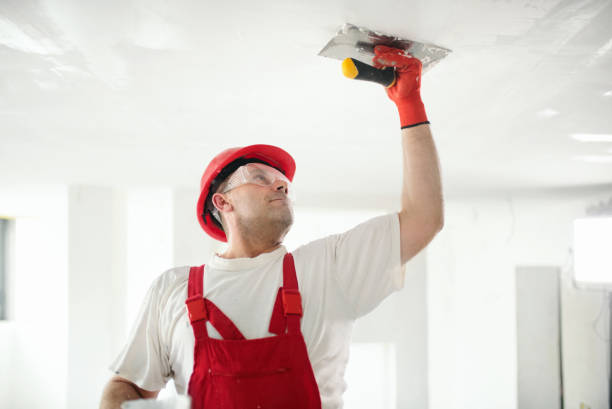 Best Commercial Mold Inspection  in West Lealman, FL