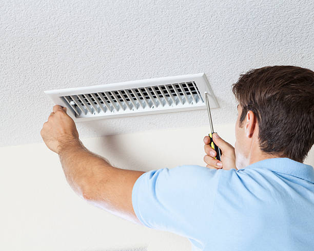 Best Basement Mold Removal  in West Lealman, FL